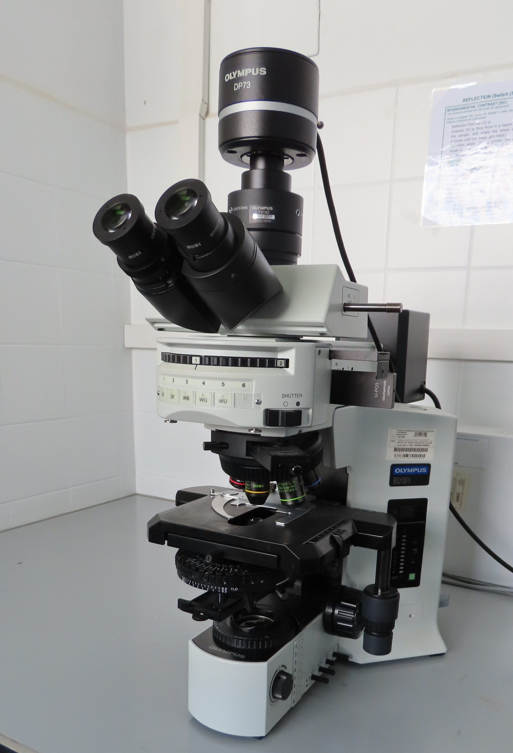 8_Microscopio Optico